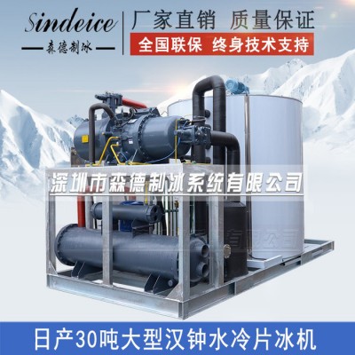 工业制冰机**日产30吨大型制冰机化工食品加工片冰机图4