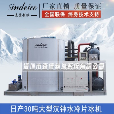 工业制冰机**日产30吨大型制冰机化工食品加工片冰机