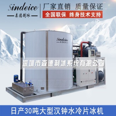 工业制冰机**日产30吨大型制冰机化工食品加工片冰机图3