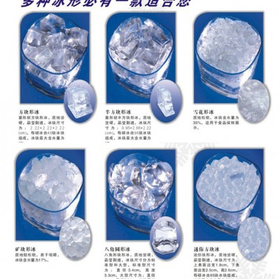 提供各种类型的制冰机图4
