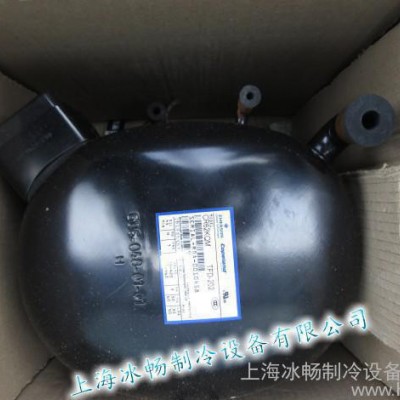 印度谷轮压缩机 CR62KQM-TFD-202 制冰机低温压缩机冰柜适用图2