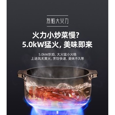 骁帅XS-008 骁帅集成灶图1