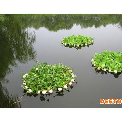 江苏如克环保RSUN 太阳能生态浮岛