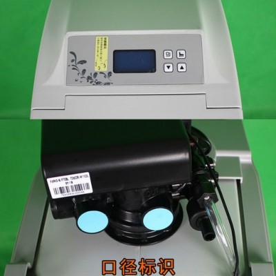盛世蓝康新航天 一体软水机 2吨/小时家用全屋中央软水机软化水设备自来水去除水垢厨房卫生间软化热水器进水软化图1