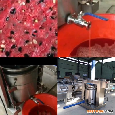生姜压榨取汁机 大型商用液压压榨收汁机 果蔬榨汁机定制