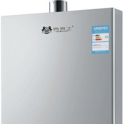 供应路易士燃气热水器LYS-3103  恒温燃气热水器 10L图1
