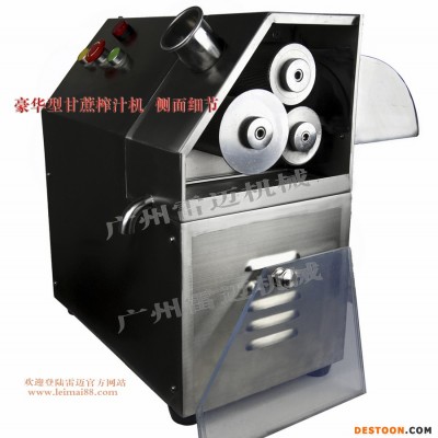 供应雷迈豪华立式商贩专用小型甘蔗榨汁机