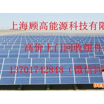 太阳能组件 太阳能组件回收  山东太阳能组件回收