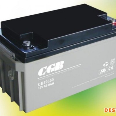 CGB长光蓄电池CB12240/12V24AH铅酸免维护蓄电池 UPS/EPS不间断电源 应急照明太阳能储备电源