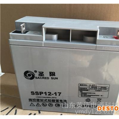 圣阳蓄电池SP12-38免维护蓄电池12V38AH 太阳能光伏发电专用储能蓄电池 通信电源内置48V电池 UPS专用