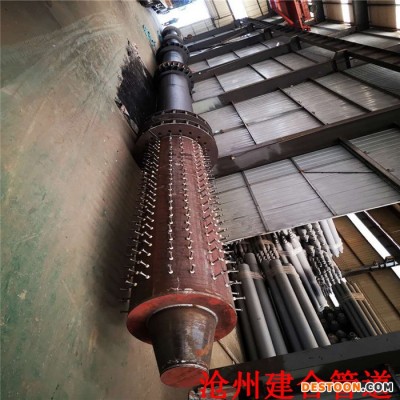 沧州建合管道钢管柱  钢管柱型散热器 各种型号都有 219mm-1820mm
