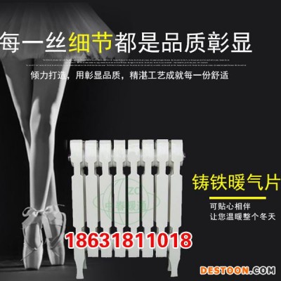 供应铸铁柱翼平面散热器 暖气片/散热器