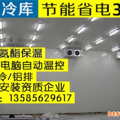 冷库 冻库 保鲜冷库 徐州市茶叶保鲜柜 沛县肉海鲜速冻库