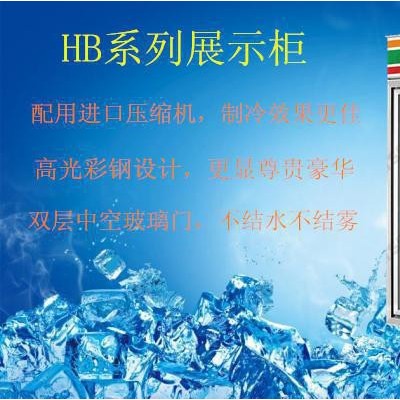 雅绅宝两门展示柜/ 分体式饮料保鲜柜/定制冷柜/便利店展示柜/水果展示柜/立式展示柜