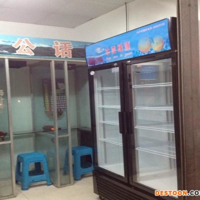 冰柜双门 超市立式展示柜 便利店饮料冷藏柜 蔬菜水果保鲜柜2