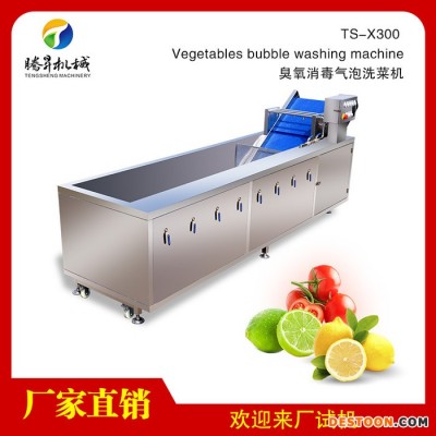 【腾昇】新型TS-X300大型多功能超声波洗果机 自动蔬菜清洗机 节能高质量