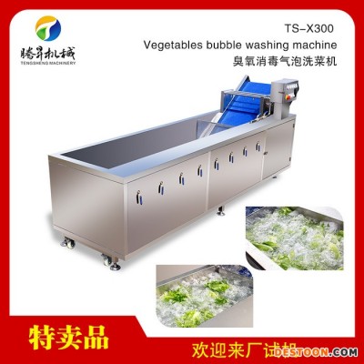 腾昇TS-X300洗菜机  超声波洗菜机  叶菜瓜果臭氧清洗机  生产线设备洗菜机