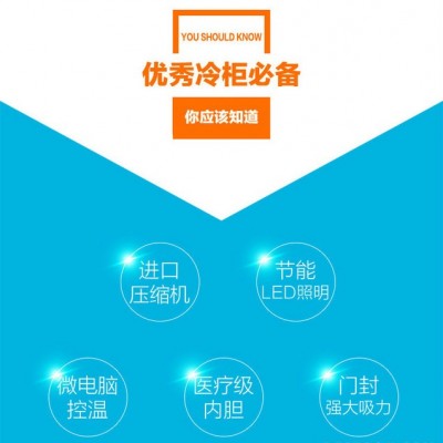 单门立式饮料啤酒展示柜玻璃陈列柜超市便利店商用饮料冷饮制冷柜水果保鲜柜