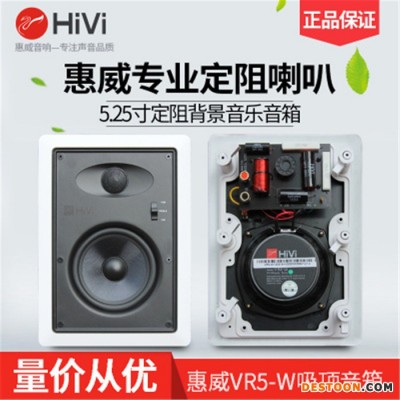 Hivi/惠威 VR5-W吸顶喇叭立体声音响 背景音乐家用同轴 吊顶音箱