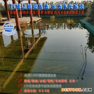 景观水体净化技术,科旭达假山鱼池净水器岳阳别墅庭院水池净化水不绿