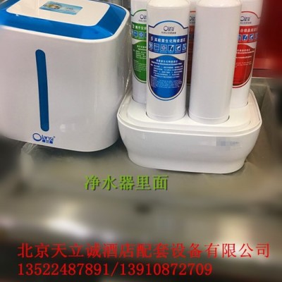 丽浦娜 卧式A1款净水器矿化直饮机便携式净水器