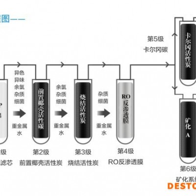 生命元素硅元素净水器直饮机RO反渗透多种矿物质水机调理糖尿病三高亚健康疾病