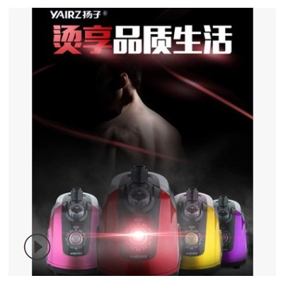一件代发挂烫机 礼品款蒸汽挂烫机家用手持烫衣服熨烫机厂家直销图2