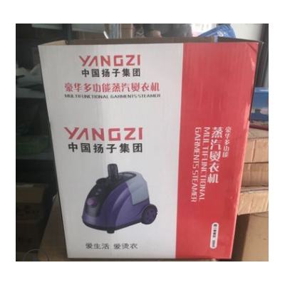 正品迷你挂式熨斗熨烫机家用蒸汽烫斗衣服店蒸汽刷 蒸汽挂烫机图2