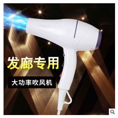 源头工厂直销新款家恒温冷热风吹风机用发廊用吹风机大功率电吹风图2