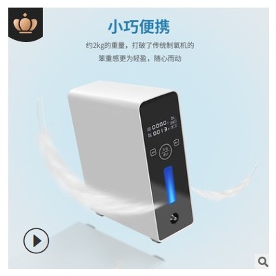 便携式车载氧气泵增氧仪制氧机户外家用西藏高原制氧机小型氧气机图2