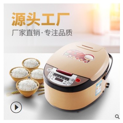 源头工厂家用电饭煲智能预约定时多功能电饭锅5L厨房电器礼品订制图1