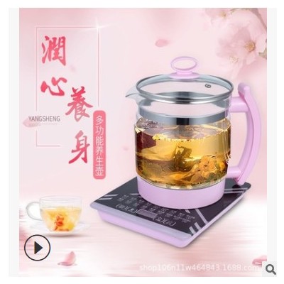 厂家直供多功能养生壶玻璃壶家用全自动煮花茶煎药养生壶礼品批发图3