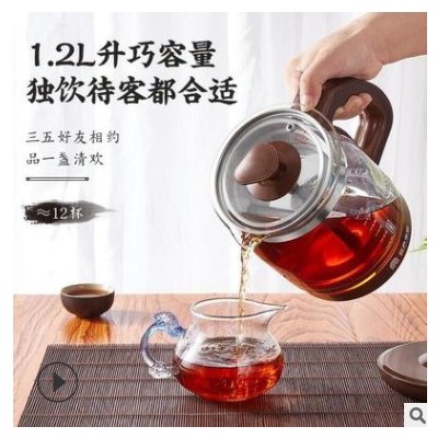 容声煮茶器黑茶普洱玻璃蒸茶壶全自动保温蒸汽煮茶壶花茶壶养生壶
