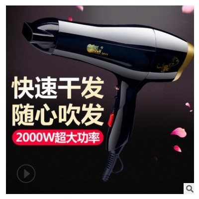 大口径出风口电吹风家用大功率发廊专用吹风机冷热风派诚2819图3