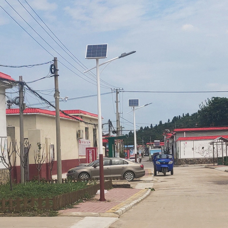 极之光菏泽3米4米5米太阳能道路灯厂家
