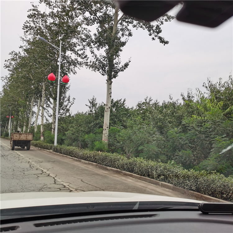 新农村太阳能路灯 生产厂家 路灯生产厂家 英光