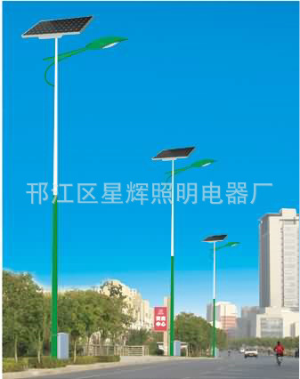 太阳能路灯 (15)