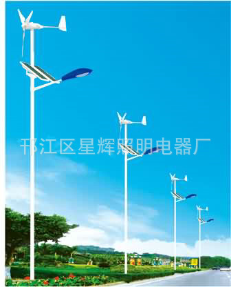 太阳能路灯 (23)