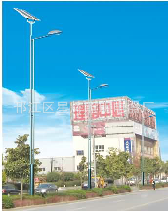 太阳能路灯 (10)