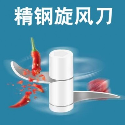 家用蒜泥机电动蒜蓉器切菜打蒜机捣蒜器迷你料理辅食机搅拌机定制图2